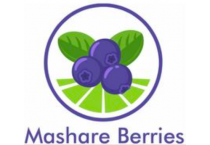 Mashare Berries
